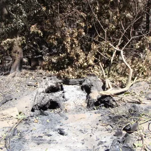 burned remains of the Redwood Cross-section exhibit, after the Jesusita Fire