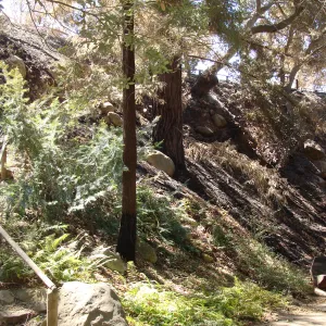 Indian Steps with burned canyon slope, after the Jesusita Fire
