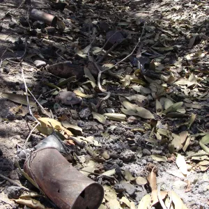 old tin cans litter the Pritchett Trail after the Jesusita Fire