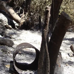 ash, fallen tree and metal debris along the Pritchett Trail, after the Jesusita Fire