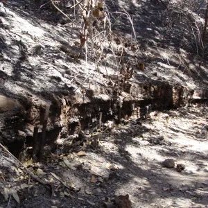 remains of burned retaining wall along the Pritchett Trail, after the Jesusita Fire