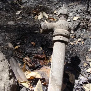 burned irrigation, hose bib, after the Jesusita Fire