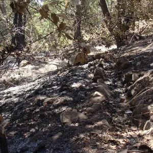 more of the historic aqueduct was uncovered by the fire, near the Island Section, after the Jesusita Fire