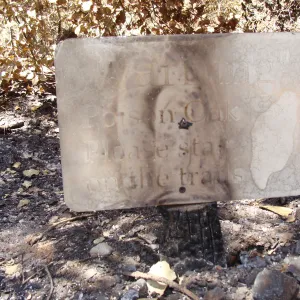 burned metal sign, 'Warning Poison Oak', after the Jesusita Fire