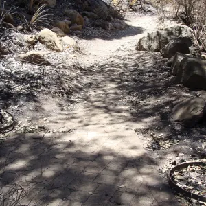 remains of two trash cans at the Picnic Area, after the Jesusita Fire