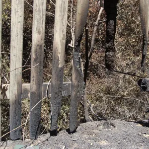 burned railing at the edge of the Picnic Area, after the Jesusita Fire