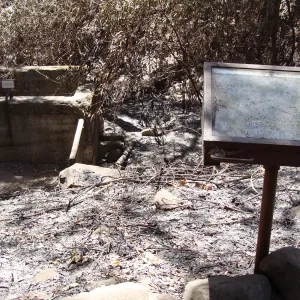 Fiber Arts Display case, after the Jesusita Fire