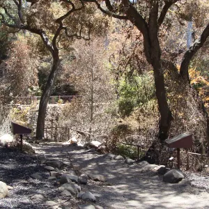 Fiber Arts Display, after the Jesusita Fire