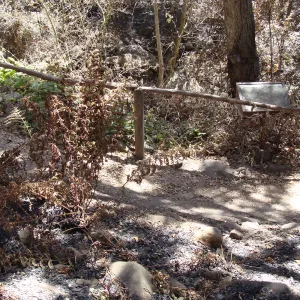 path in the Fiber Arts Display, after the Jesusita Fire