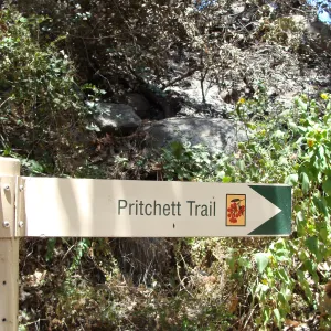 Pritchett Trail directional sign, after the Jesusita Fire