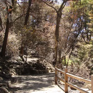 Garden path to the Meadow (Woodland Section on the left, Redwood Section on the right), after the Jesusita Fire