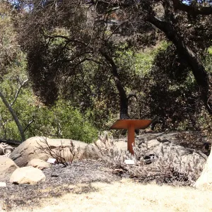 burned site of the Home Demonstration Deck, after the Jesusita Fire