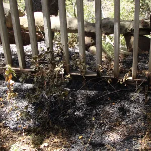 burned wood railing at the site of the Home Demonstration Deck, after the Jesusita Fire