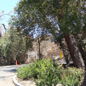 viewing up the entrance driveway to the SBBG entrance sign on Mission Canyon Road, after the Jesusita Fire