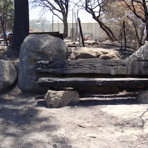 burned Mr. and Mrs. William Stratton Porter Bench (bench #64), after the Jesusita Fire