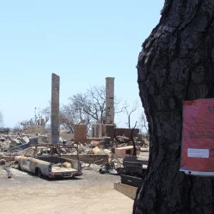 red tag at the Gane/Lotterhos site, after the Jesusita Fire