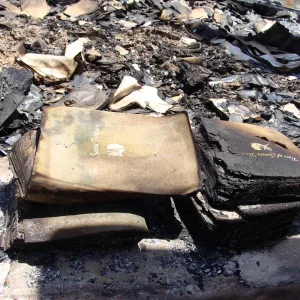 burned copies of 'Trees of Santa Barbara', after the Jesusita Fire