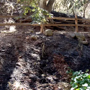 Redwood Section, panorama, one week after the Jesusita Fire