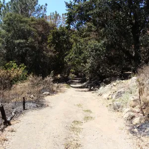 driveway to the Island Section, after the Jesusita Fire