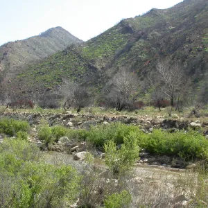 Sespe Creek