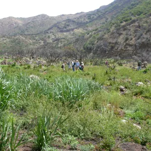 Staff Field Trip, Hwy 33, Derrydale Creek