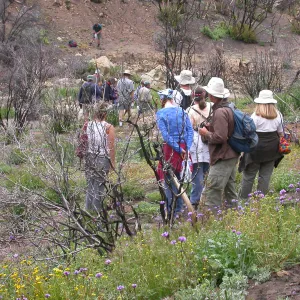 Staff Field Trip, Hwy 33, Derrydale Creek