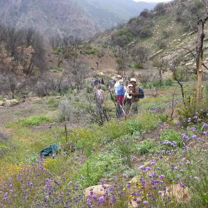 Staff Field Trip, Hwy 33, Derrydale Creek