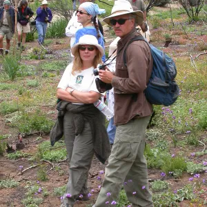 Tricia Wardlaw, Steve Junak, Hwy 33, Derrydale Creek