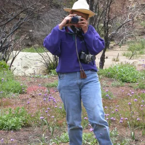 Sally Issacson, Hwy 33, Derrydale Creek