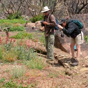 Steve Junak, Carol Bornstein, Hwy 33, Derrydale Creek