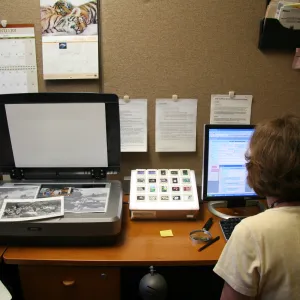 Flatbed scanner, Betsy Collins, IMLS Digital Image Library ProjectIMLS Digital Image Library Project