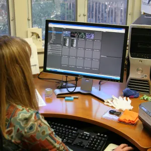 Tricia Wardlaw, IMLS Digital Image Library Project