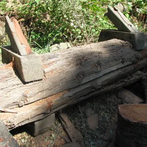 Fallen Oak Damages