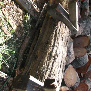 Fallen Oak Damages