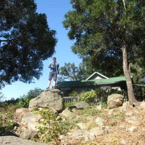 Fallen Oak in Discovery Garden