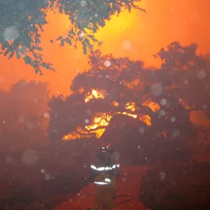 Firefighters versus the Jesusita Fire in the Garden, taken by a firefighter during the firestorm at SBBG