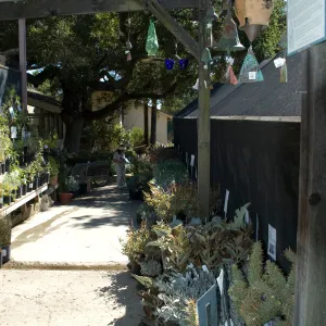 SBBG Fall Plant Sale 2010