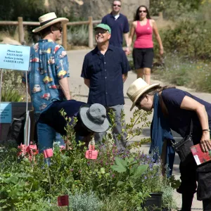 Tom Rhodes, SBBG VSR, visitors, plants with red 'SOLD' labels, SBBG Fall Plant Sale 2010