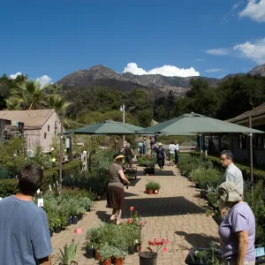 SBBG Fall Plant Sale 2010