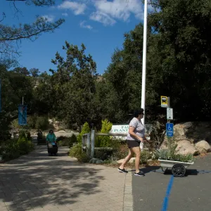 SBBG Fall Plant Sale 2010