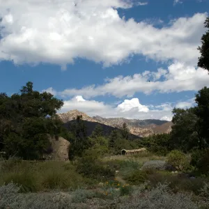 SBBG 2010