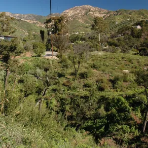 Tunnel Road along Pritchett Trail 