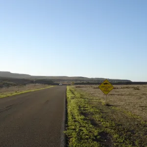 San Clemente Island, SBBG Research 2007