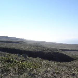 San Clemente Island, SBBG Research 2007