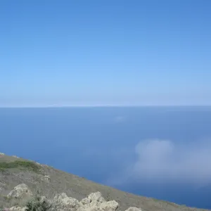 San Clemente Island, SBBG Research 2007