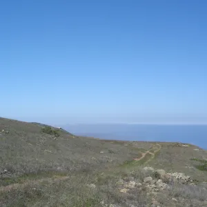 San Clemente Island, SBBG Research 2007