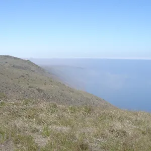 San Clemente Island, SBBG Research 2007