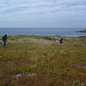 San Clemente Island, SBBG Research 2005