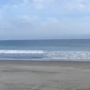 Horse Beach Cove, San Clemente Island, SBBG Research 2005