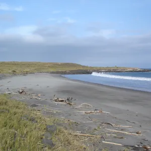Horse Beach Cove, San Clemente Island, SBBG Research 2005
